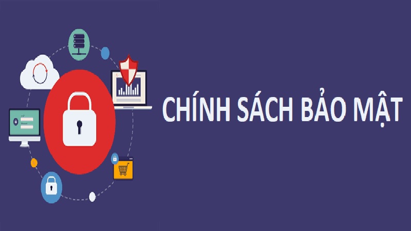 Quyền lợi của bạn trong chính sách bảo mật
